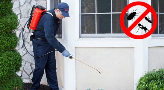 Çamlıdere Karınca İlaçlama böcek ilaçlama ve haşere kontrolü — ilaclama-tr.com